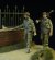 画像4: D-Day miniature studio[DD35015］ 1/35 WWII 英/英連邦歩兵 2体セット 行軍中 1942-1945 (4)