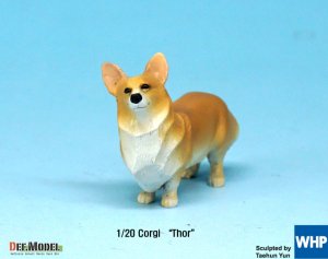 画像4: DEF.MODEL[DF20002]1/20 コーギー犬"トール" (4)