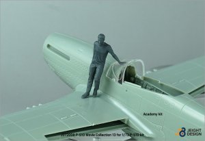 画像5: DEF.MODEL[JD72008]1/72 WWII アメリカ陸軍航空隊戦闘機 P-51Dマスタング デカール/フィギュアセット ムービーコレクションNo.13「トップガン」2022(タミヤなど用) (5)