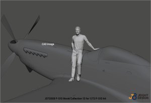 画像6: DEF.MODEL[JD72008]1/72 WWII アメリカ陸軍航空隊戦闘機 P-51Dマスタング デカール/フィギュアセット ムービーコレクションNo.13「トップガン」2022(タミヤなど用) (6)