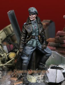 画像2: Darius Miniatures[DMF35045]1/35 WWII ドイツ武装親衛隊士官 独眼の将校 (2)
