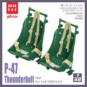 画像2: E.T.MODEL[GR48502]1/48 WWII アメリカ P-47Dサンダーボルト 後期型シート(タミヤ用) (2)