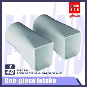 画像2: E.T.MODEL[GR48605]1/48 現用 アメリカ F-14A/B/Dトムキャット 一体成型インテイク(タミヤ用) (2)