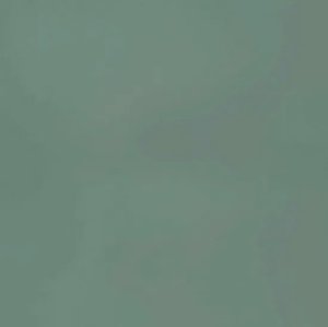 画像2: Finishers[105]ジャングルグリーン (2)