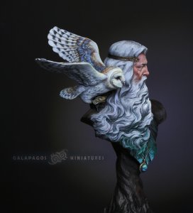 画像6: ガラパゴスミニチュア[GP-B001]1/10胸像 メッセンジャー ガラパゴスへの導き手 (6)