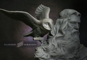 画像10: ガラパゴスミニチュア[GP-B001]1/10胸像 メッセンジャー ガラパゴスへの導き手 (10)