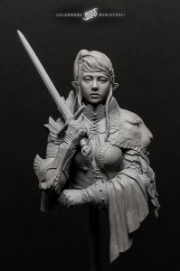 画像10: ガラパゴスミニチュア[GP-B010]1/10胸像 アライ 償いの聖堂騎士 (10)