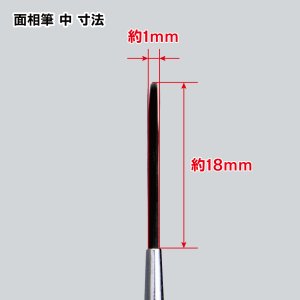 画像3: ゴッドハンド[GH-BRSDP-MSC]神ふで デカ 面相筆 中 (3)