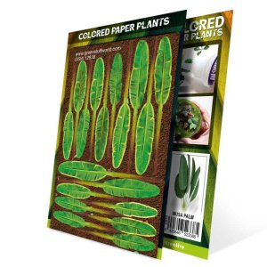 画像3: グリーンスタッフワールド[GSWD-12838]Colored Paper Plants - Musa Trees (3)