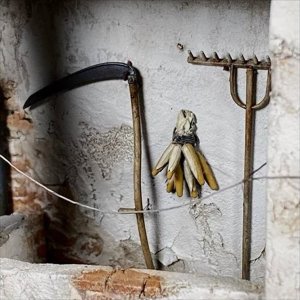 画像2: HDMODELS[HDM35217]1/35 ジオラマアクセサリー トウモロコシの穂(5個入) (2)