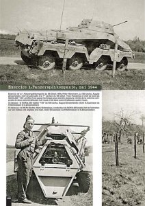 画像3: Panzerdivision Hitlerjugend Vol.1 (3)