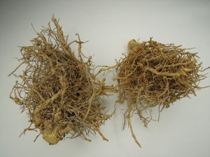 画像17: 彩葉[MS-015] 天然素材の枯れた小木セット (17)