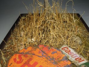 画像9: 彩葉[MS-015] 天然素材の枯れた小木セット (9)