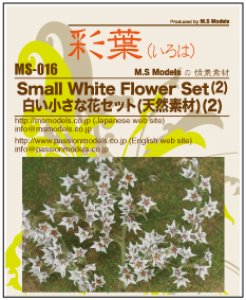 画像5: 彩葉[MS-016] 白い小さな花セット(天然素材)（2） (5)