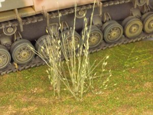 画像3: 彩葉[MS-017] 穂の出た植物セット(2) (3)