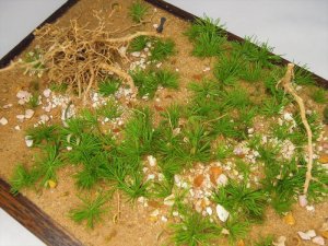 画像14: 彩葉[MS-019V]雑草の茂み増量セット(天然素材) (14)