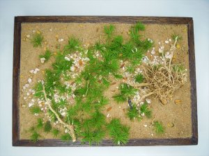 画像10: 彩葉[MS-019V]雑草の茂み増量セット(天然素材) (10)