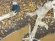 画像14: 彩葉[MS-021]古木の幹(天然素材) (14)