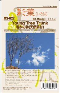 画像19: 彩葉[MS-022]若木の幹(天然素材) (19)