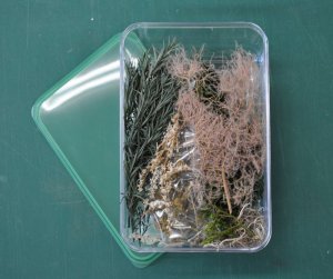 画像2: 彩葉[MS-026]彩葉お試しパック (2)