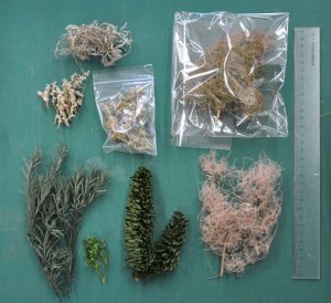 画像5: 彩葉[MS-026]彩葉お試しパック (5)