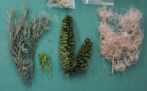 画像3: 彩葉[MS-026]彩葉お試しパック (3)