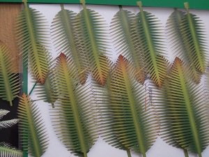 画像3: JOEFIX[JF181.35]ヤシの木セットA(アジアタイプ) (3)