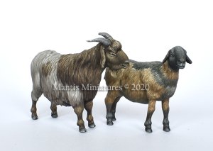 画像2: マンティス・ミニチュアズ[Man35140]1/35 動物セット38 山羊の番い (2)