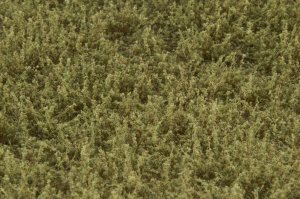 画像2: マルティン・ウエルベルク[WB-LWBG]剥離タイプ(雑草 バーンドグリーン)  全高12mm (2)