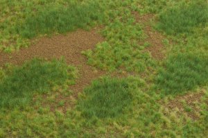 画像3: マルティン・ウエルベルク[WB-M003]マットタイプ(牧草地) 全高2mm~4.5mm 夏 21cmx30cm (3)