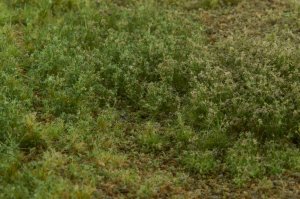 画像4: マルティン・ウエルベルク[WB-M006]マットタイプ(牧草地) 全高2mm~4.5mm 晩夏 パウダー付き 21cmx30cm (4)