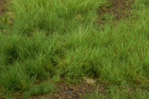 画像4: マルティン・ウエルベルク[WB-M023]マットタイプ(原野) 全高2mm~6mm 夏  21cmx30cm (4)