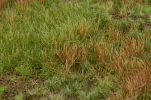 画像4: マルティン・ウエルベルク[WB-M027]マットタイプ(原野) 全高2mm~6mm 初秋  21cmx30cm (4)