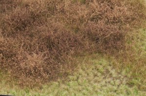 画像3: マルティン・ウエルベルク[WB-M046]マットタイプ(ヤブ) 全高2mm~30mm 初冬 パウダー付き  21cmx30cm (3)