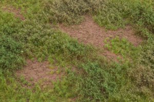 画像3: マルティン・ウエルベルク[WB-M053]マットタイプ(草原) 全高2mm~12mm 晩夏 パウダー付き  21cmx30cm (3)