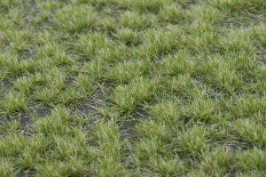 画像3: マルティン・ウエルベルク[WB-P203]草地 晩夏 全高2mm (3)