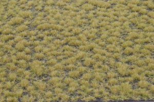 画像2: マルティン・ウエルベルク[WB-P204]草地 初秋 全高2mm (2)