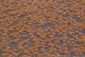 画像2: マルティン・ウエルベルク[WB-P205]草地 秋 全高2mm (2)