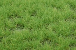 画像3: マルティン・ウエルベルク[WB-P401]草地 春 全高4.5mm (3)