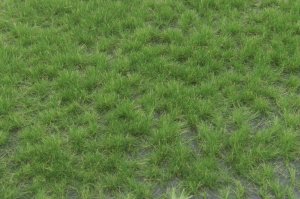 画像2: マルティン・ウエルベルク[WB-P402]草地 夏 全高4.5mm (2)