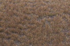 画像2: マルティン・ウエルベルク[WB-P406]草地 冬 全高4.5mm (2)