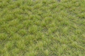 画像2: マルティン・ウエルベルク[WB-P603]草地 晩夏 全高6mm (2)