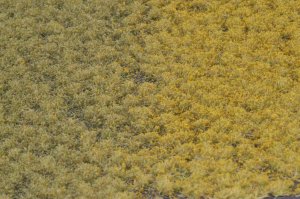 画像2: マルティン・ウエルベルク[WB-PW204]草地(パウダー付き) 初秋 全高2mm (2)