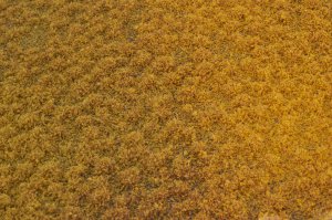 画像2: マルティン・ウエルベルク[WB-PW205]草地(パウダー付き) 秋 全高2mm (2)