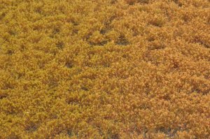 画像2: マルティン・ウエルベルク[WB-PW405]草地(パウダー付き) 秋 全高4.5mm (2)