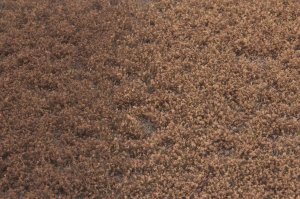 画像2: マルティン・ウエルベルク[WB-PW406]草地(パウダー付き) 冬 全高4.5mm (2)