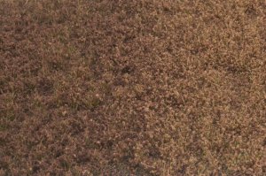 画像2: マルティン・ウエルベルク[WB-PW606]草地(パウダー付き) 冬 全高6mm (2)