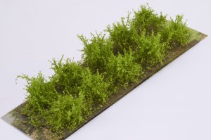 画像2: マルティン・ウエルベルク[WB-SALG]茂みA 株タイプ 全高20mm ライトグリーン 10株 (2)