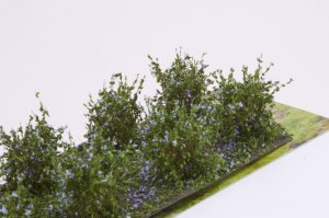 画像3: マルティン・ウエルベルク[WB-SAL]茂みA 株タイプ 全高20mm ラベンダー 10株 (3)