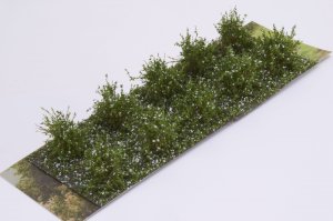 画像2: マルティン・ウエルベルク[WB-SAW]茂みA 株タイプ 全高20mm 10株 (2)